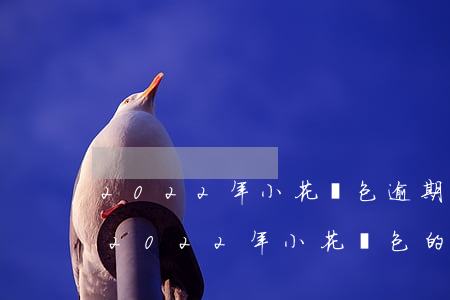 2022年小花錢包逾期了怎么辦，如何處理2022年小花錢包的逾期問(wèn)題？